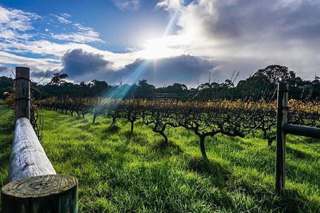 Вилла Island Brook Estate Winery And Chalets Маргарет-Ривер Экстерьер фото
